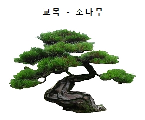 교목.jpg